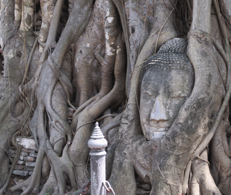 Wat Phra Mahathat Woramahawihan a Ayutthaya en Thailande