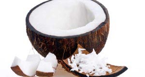 Noix de coco - Cocos Nucifera - louk ma praow ลูกมะพร้าว