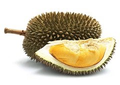 Durian - Durio zibethinus - 