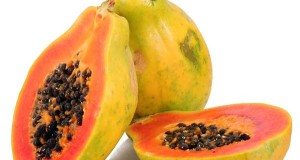 Papaye - Carica papaya -